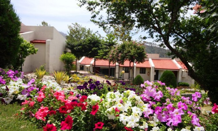 Sprawling Gardens Sprawling Gardens