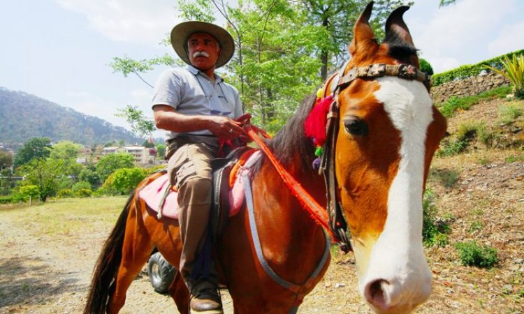 Horse Riding Horse Riding