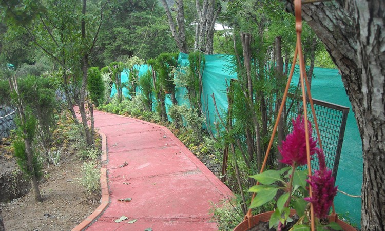 Walking Track Walking Track