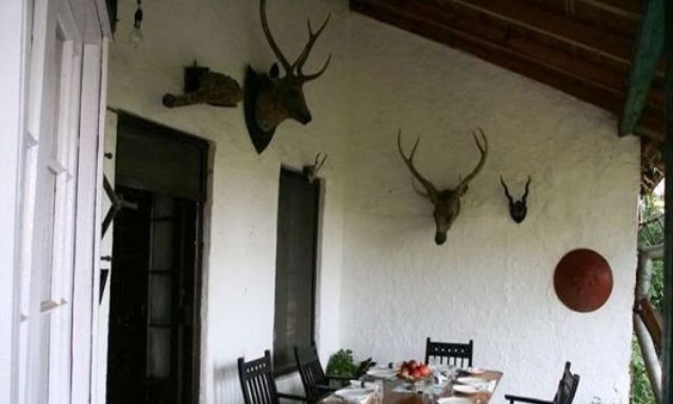 Dining Area Dining Area