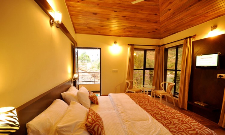 Luxury Room Luxury Room