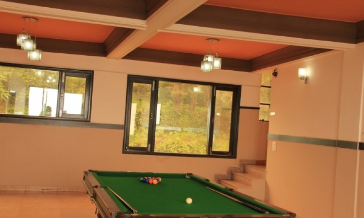 Pool Table Pool Table