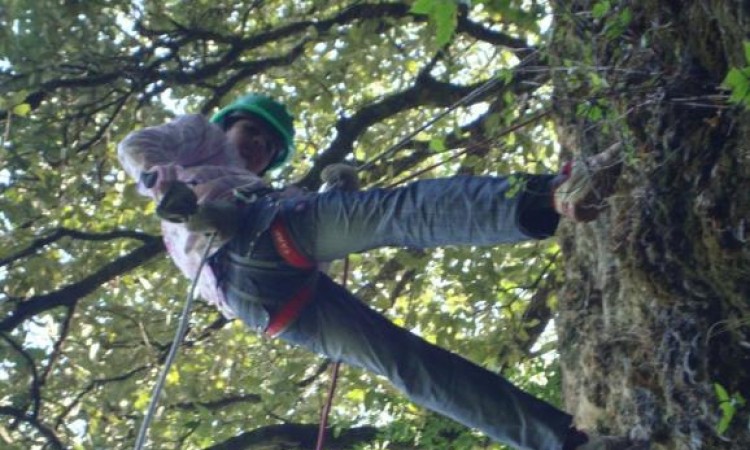 Rock climbing Rock climbing