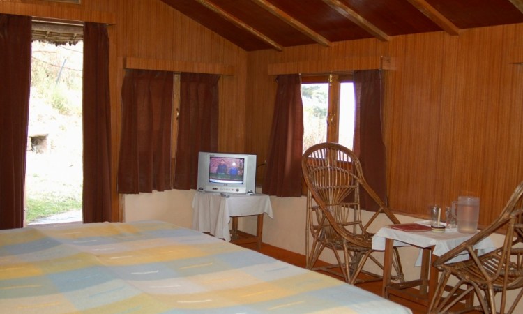 Wooden Interior Wooden Interior