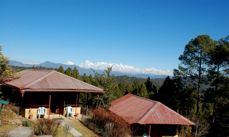Resort View Resort View