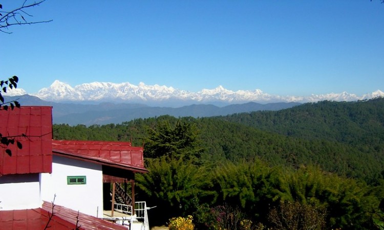 Nature View Nature View