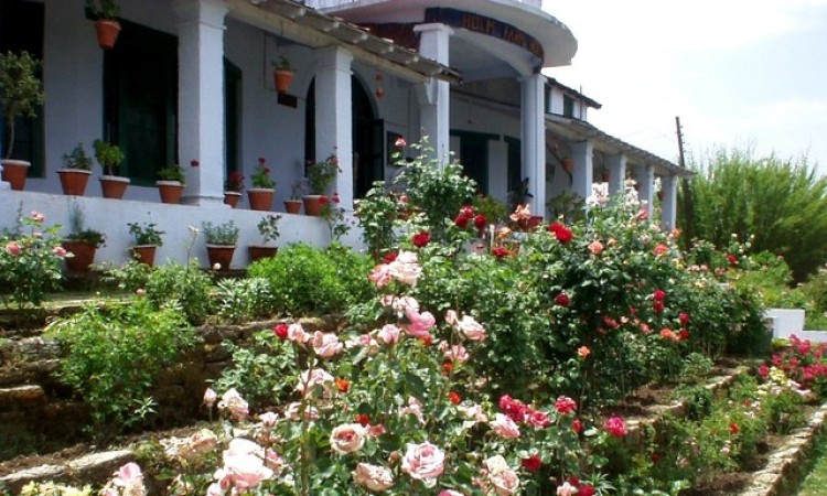 Garden Garden