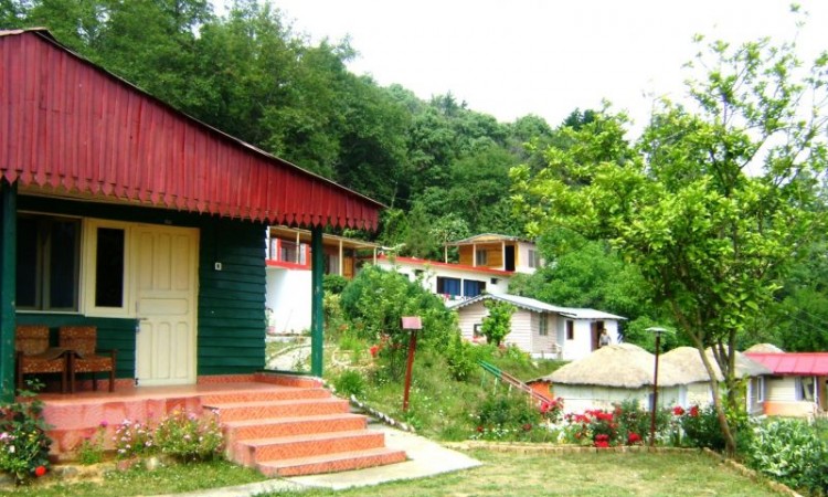 Garden Garden