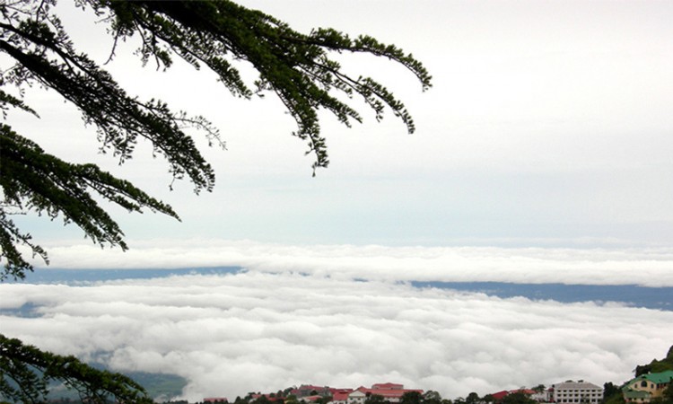Panoramic View Panoramic View