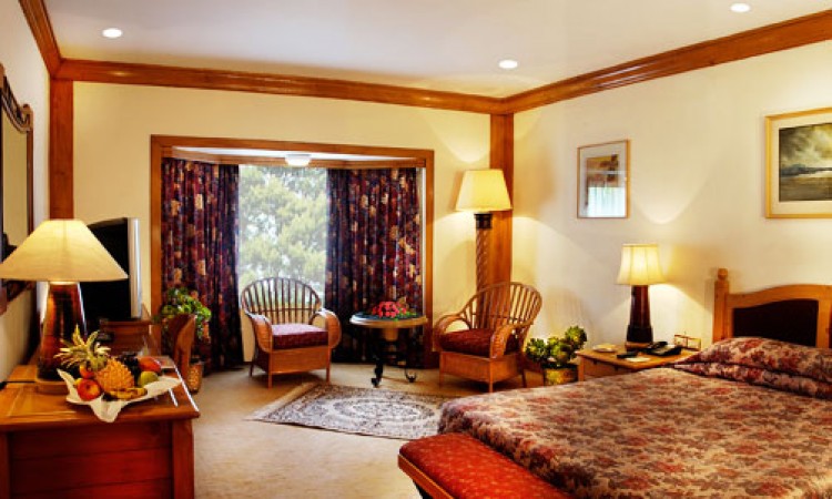 Luxury Room Luxury Room