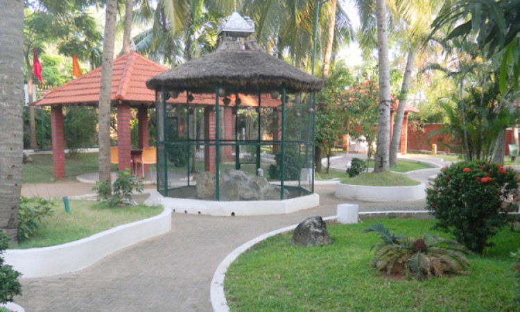 Lawn Lawn