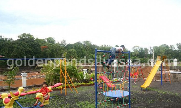 Play Area Play Area