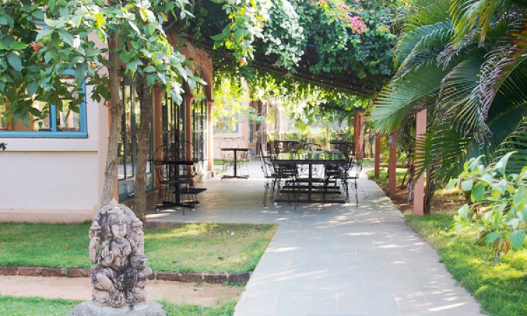 Outdoor Dining Outdoor Dining