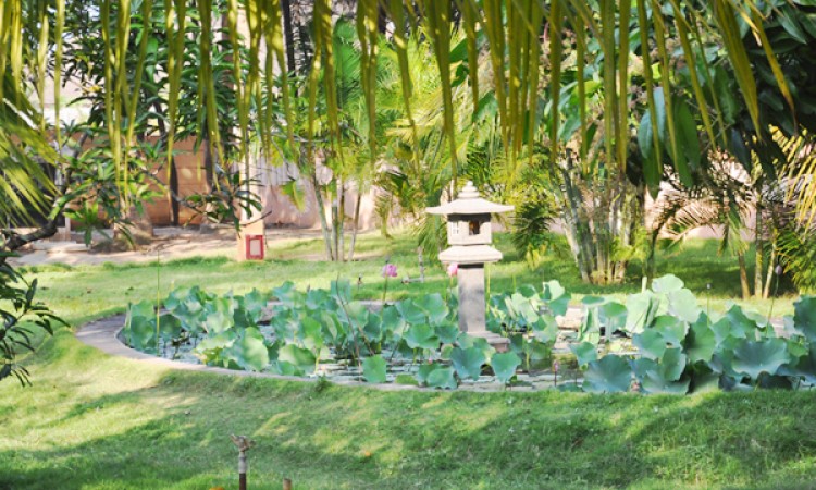 Garden Area Garden Area