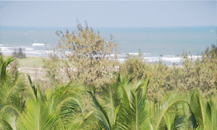 Beach View Beach View
