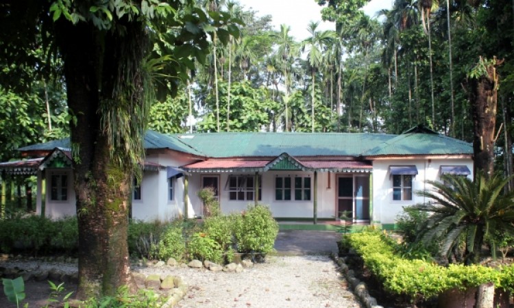 Garden Encircling the Bungalow Garden Encircling the Bungalow