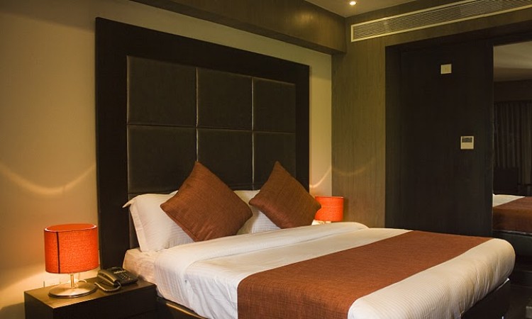 Luxurious Room Luxurious Room