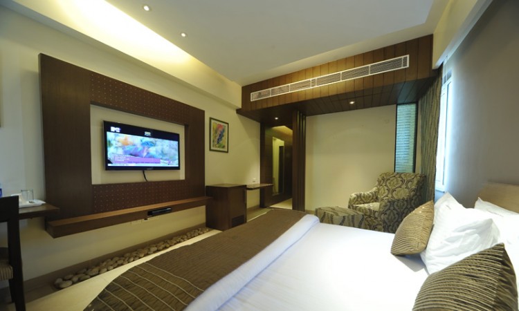 Plush Interior Plush Interior
