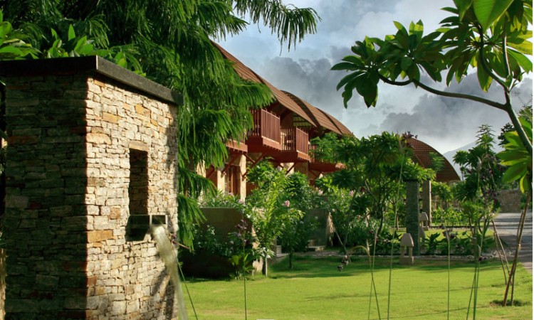Lawn Lawn