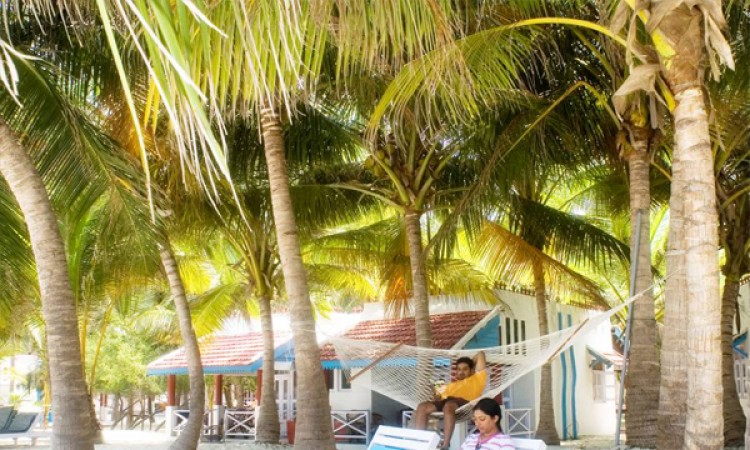 Beach Shack Beach Shack