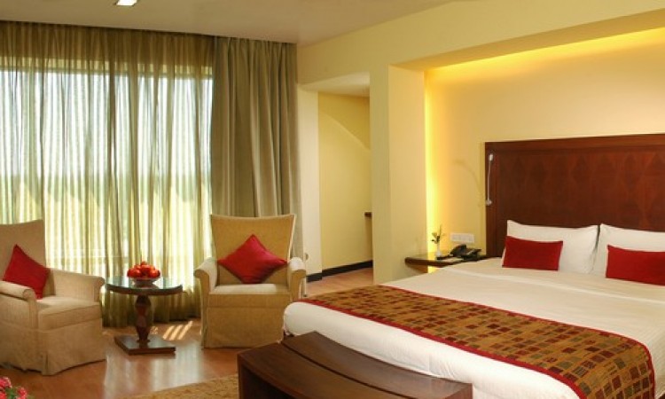 Plush Room Interior Plush Room Interior