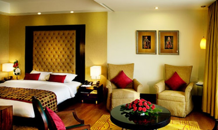 Luxurious Room Luxurious Room