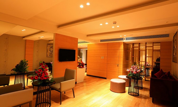 Lounge Lounge