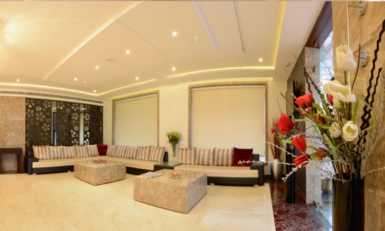 Lounge Lounge