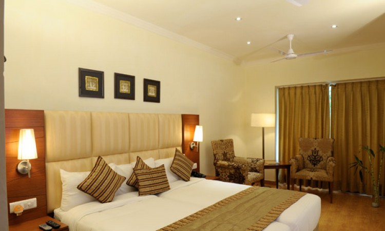 Luxury Room Luxury Room