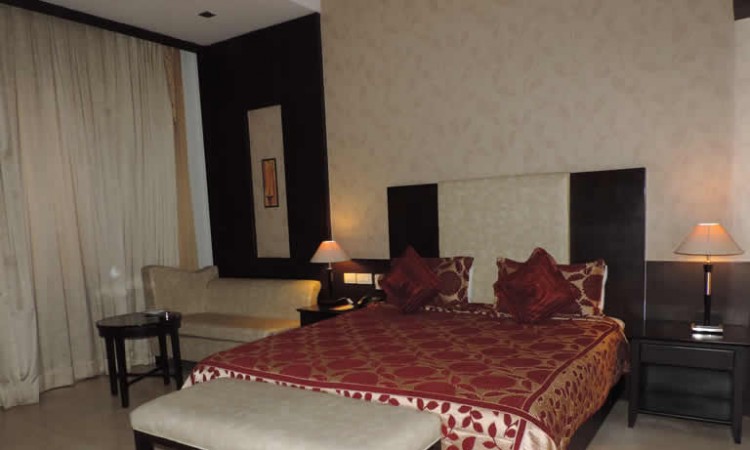 Comfortable Room Comfortable Room