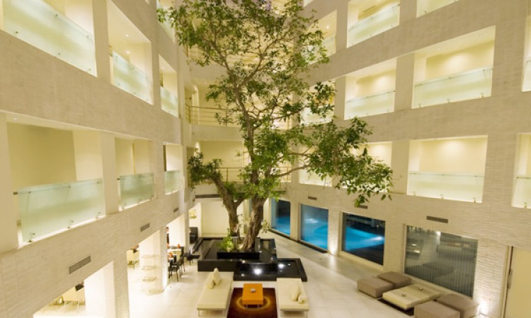 Courtyard from Top Courtyard from Top