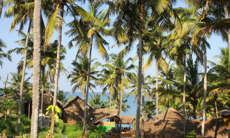 Resort view Resort view