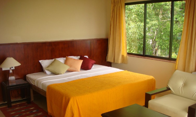 Room1 Room1