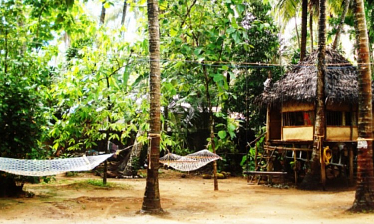 Shiva treehouse Shiva treehouse
