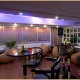 Serene ambiance of the restaurant Serene ambiance of the restaurant