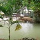Amblee Resort