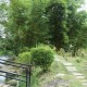 Cauvery Sannidhi for Indian Culture
