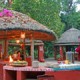 Maharani Bagh Orchard Retreat