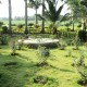 Cauvery Sannidhi for Indian Culture