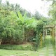 Cauvery Sannidhi for Indian Culture