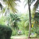 Cauvery Sannidhi for Indian Culture