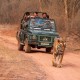 Abrar Palace and Jungle Camps