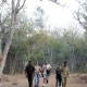 Bandipur Safari Lodge