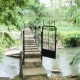 Cauvery Sannidhi for Indian Culture