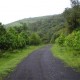 Sai Farms and Holiday Resort