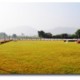 Gulmohar Sariska Resort