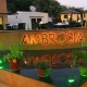 The Ambassador The Ambassador