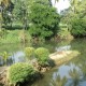 Cauvery Sannidhi for Indian Culture