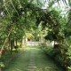 Cauvery Sannidhi for Indian Culture