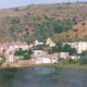 Bassi villg
